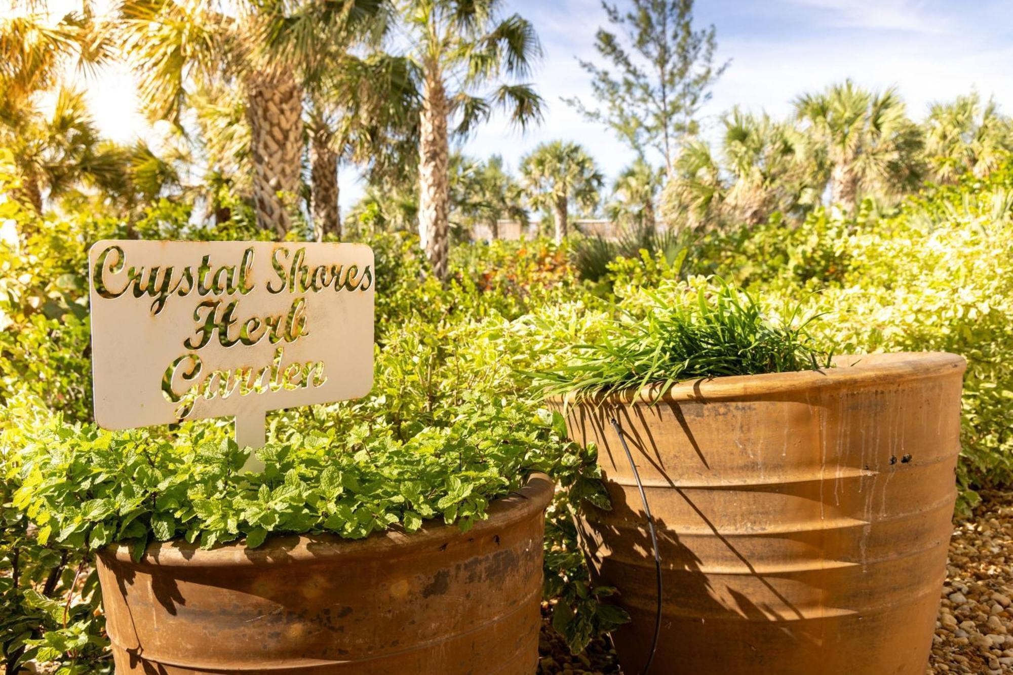 Marriott'S Crystal Shores Hotel Marco Island Exterior photo